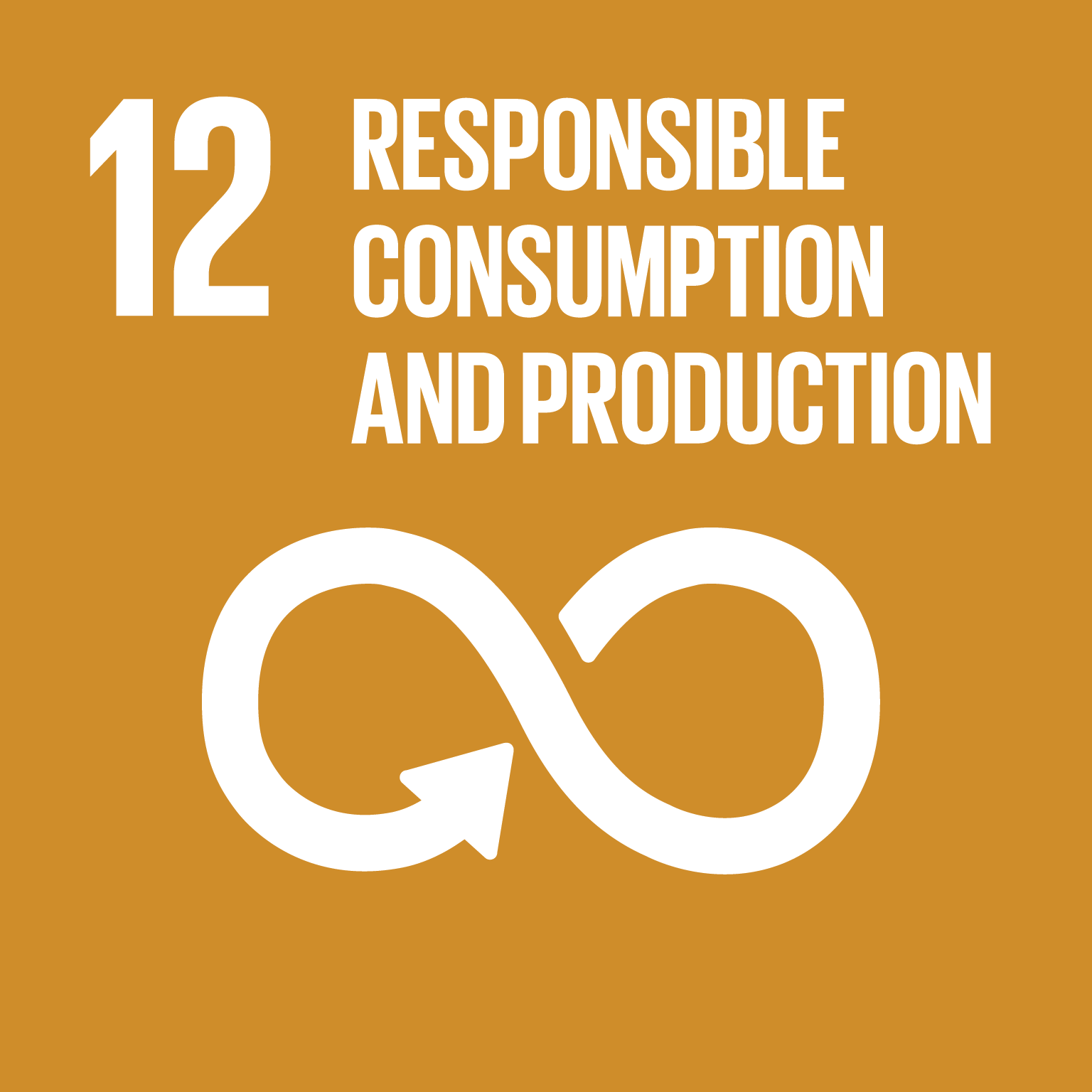 Card oficial ODS 12 — Consumo e Produção Responsáveis